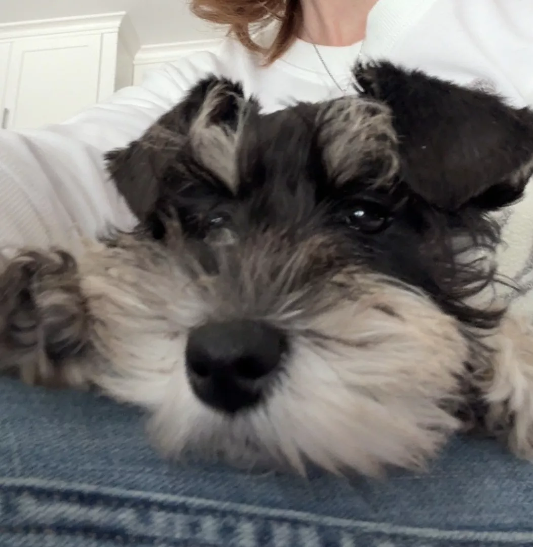 Crina D., California