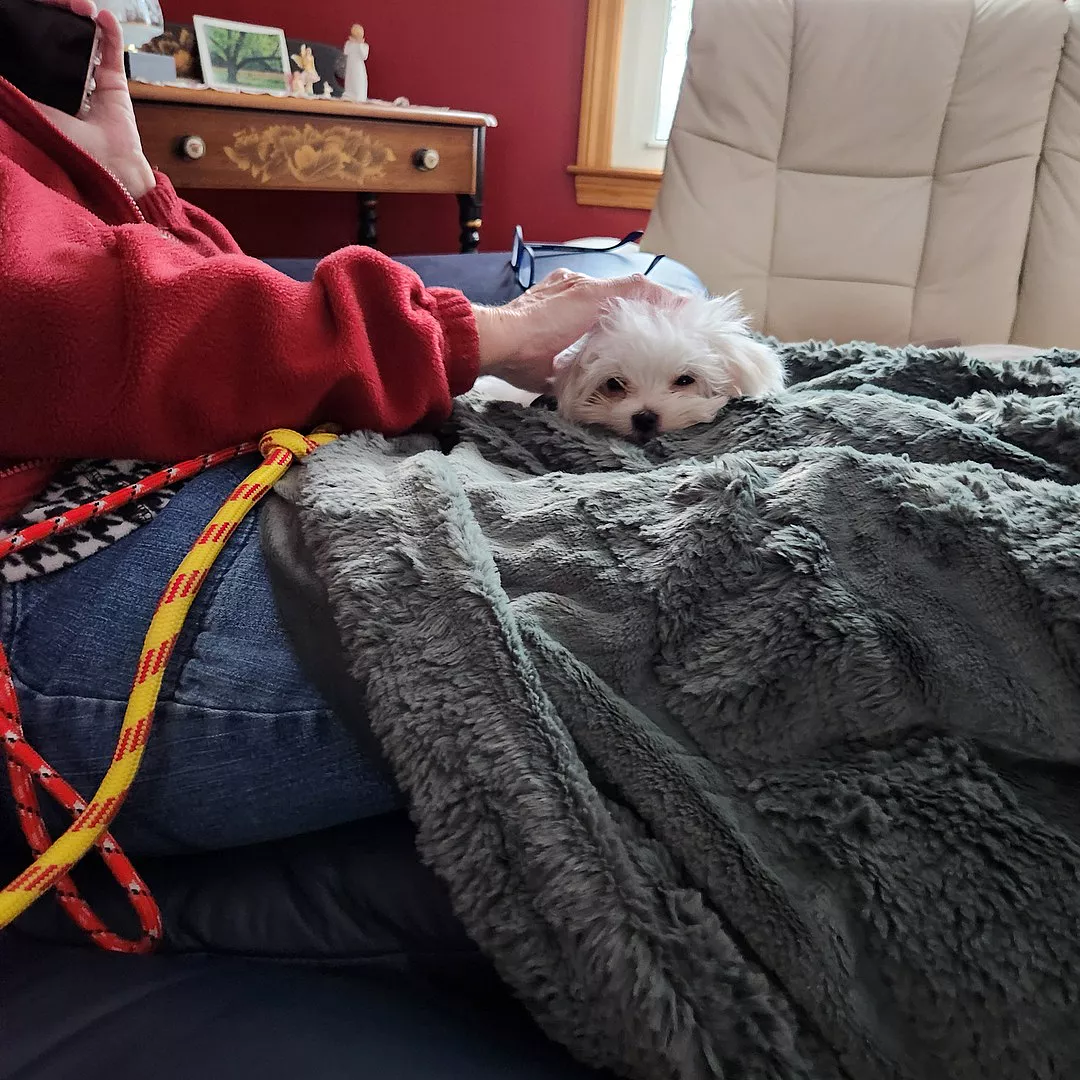 Gordon B., Massachusetts