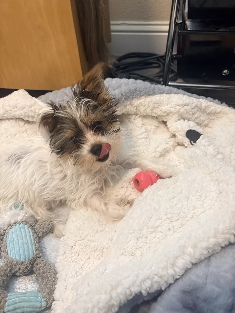 Brianna B., California