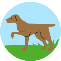 puppyspot illustrations final hunting